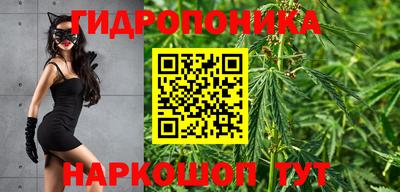 индика Бузулук