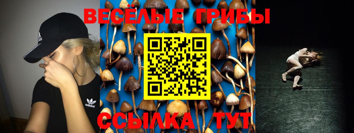 Ульяновск  Псилоцибиновые грибы прущие грибы  как найти закладки  Вход с VPN 