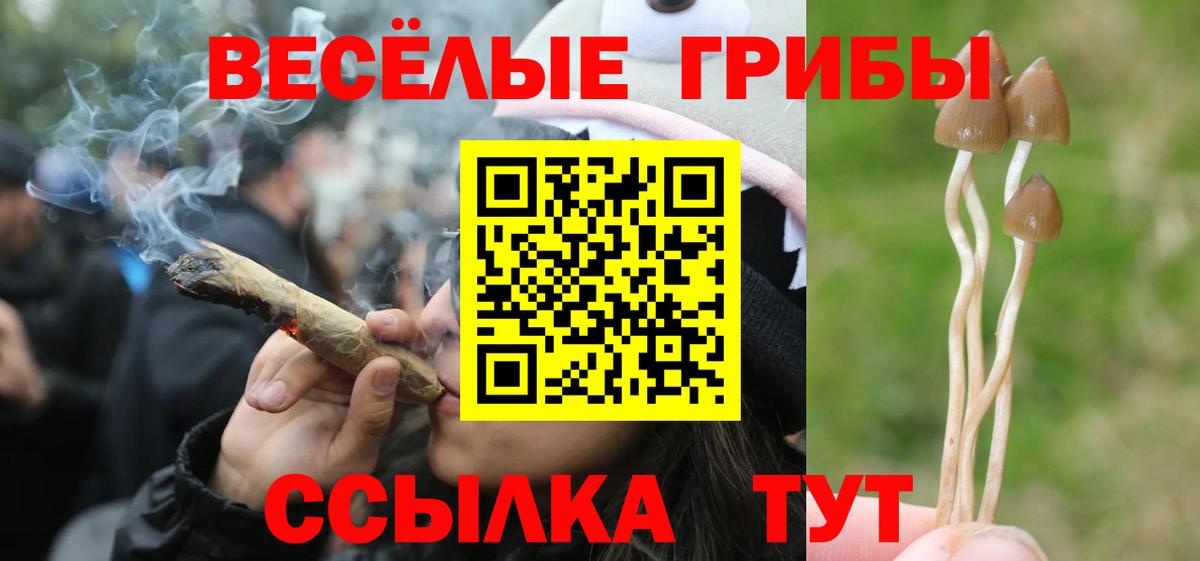 Галлюциногенные грибы GOLDEN TEACHER Ульяновск